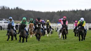 Shetland ponies set for miniature race return at Exeter Racecourse this Sunday