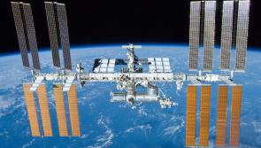 Tiny worms to blast off to space station in Exeter-led experiment