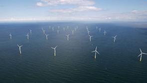 North Devon: Our Marine Future looks bright - Tim Jones