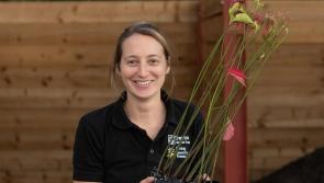 Charity offers free trees to good homes