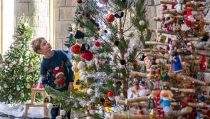 In Pictures: Trimming the trees &ndash; all 63!