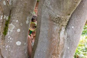 Who framed the Easter Bunny? New mystery trail launches at Rosemoor