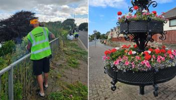 Ilfracombe in Bloom composite