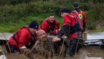 Sheep dip