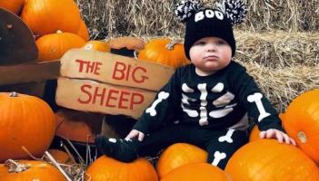 Halloween big sheep TT