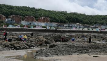Free family activities planned at Northam Burrows this half-term