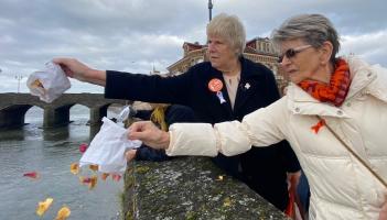 Barnstaple Petal scattering 2023 8