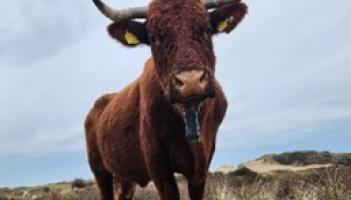 How &pound;700,000 is helping North Devon farms transform for nature and climate