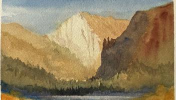 North Devon artists come together for vibrant new exhibition