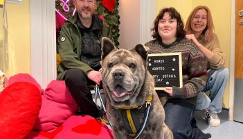 Romeo the rescue dog finally finds love after 106 days in care