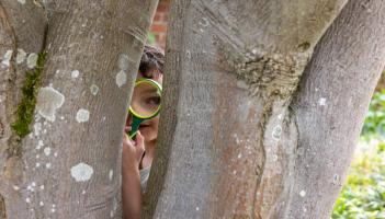 Rosemoor Easter detectives