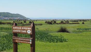 Northam Burrows