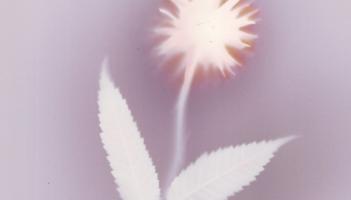 Bideford exhibition shares refugees' stories through photography