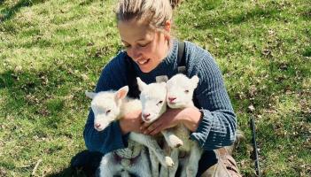 North Devon farmer warns Labour&rsquo;s 'Spring Push' ignores reality of rising costs