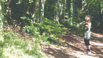 Bird Tunes cover no text