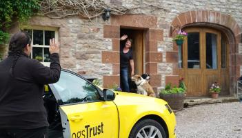 Dogs Trust is appealing for more foster carers