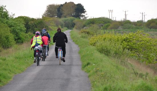 Tarka Trail set for major new improvements in North Devon after council approval