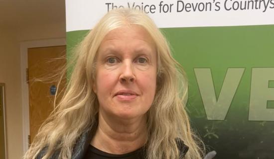 Plans for huge Devon solar farm put on hold amid further assessments