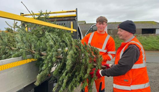 Hundreds of Christmas trees turned into &pound;28,625 for Devon children&rsquo;s hospice