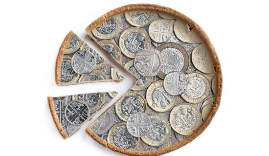 coins pie credit lena_zajchikova-Adobe Stock