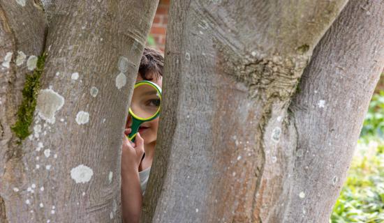 Rosemoor Easter detectives