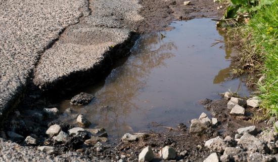 ndg motors WK04 credit Alan-Adobe