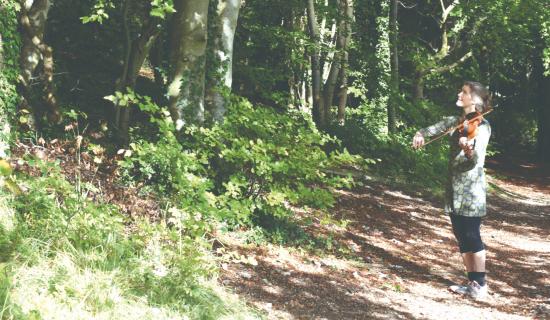 Bird Tunes cover no text