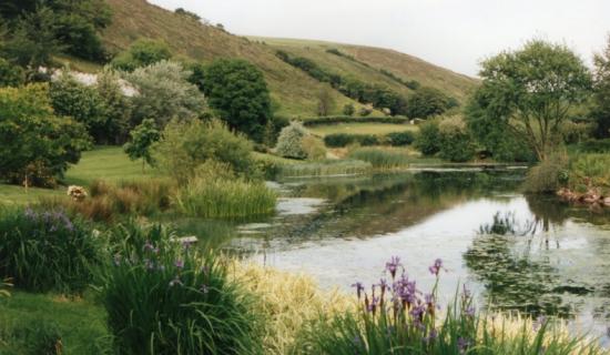 Brendo0n gardens lead pic