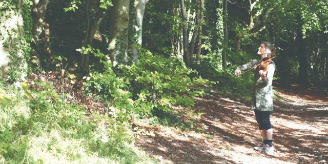 Bird Tunes cover no text