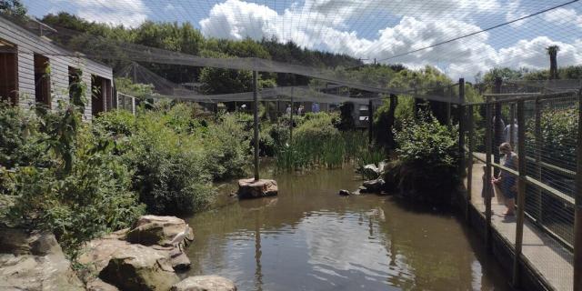 North Devon zoo sees strong Easter footfall - but visitors are spending less once through the gate