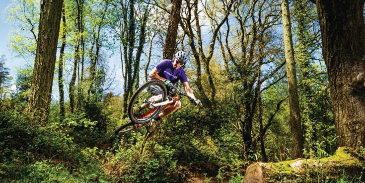 Haldon Forest. Pic from Mountain Biking UK