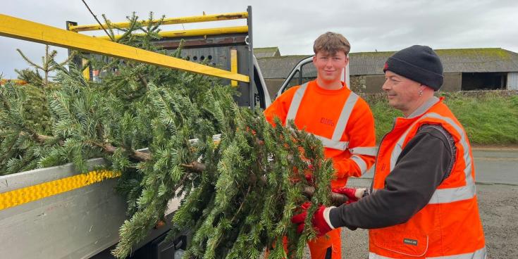 Hundreds of Christmas trees turned into &pound;28,625 for Devon children&rsquo;s hospice