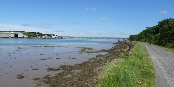 Tarka Trail 'will not be taken away', rail campaigner insists