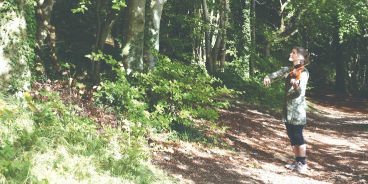 Bird Tunes cover no text