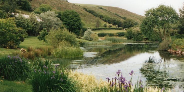 Brendo0n gardens lead pic