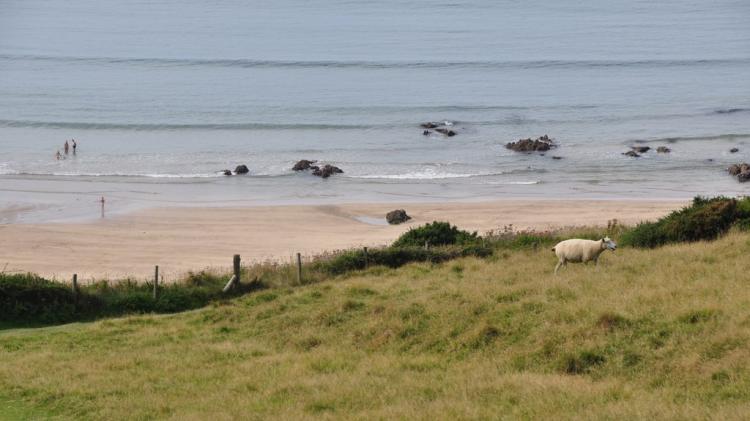 Devon residents urged to weigh in on local government shake-up