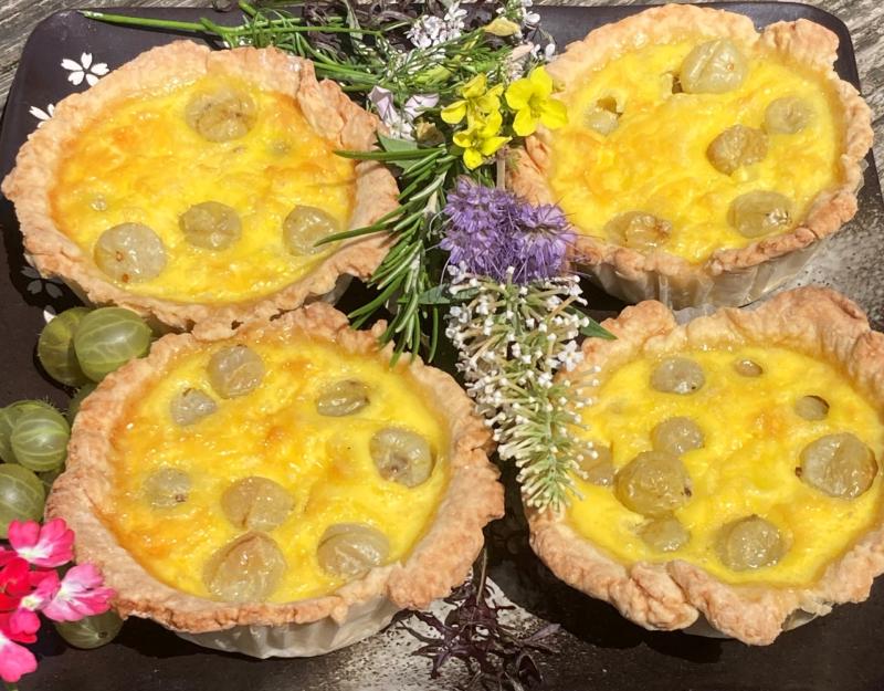 ndg Focus on Bideford tarts