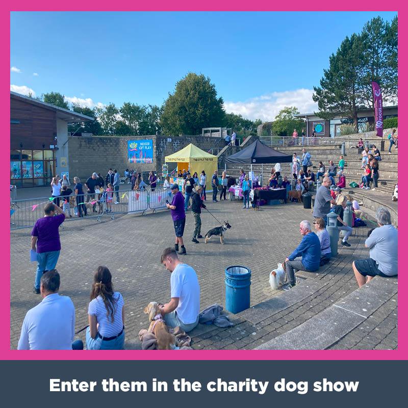 A previous Doggy Day Out event at Affinity Devon