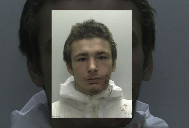 Brian Jewell, aged 20, has been sentenced to 20 years in prison for murder - Credit: DC Police