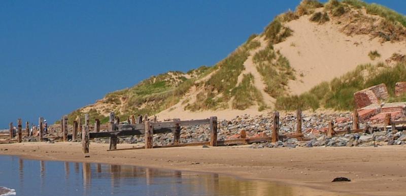 Braunton Burrows sand dunes - Credit: North Devon Biosphere