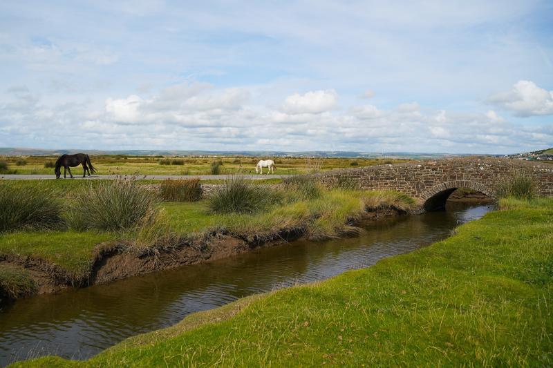 ndg northam burrows generic credit TDC