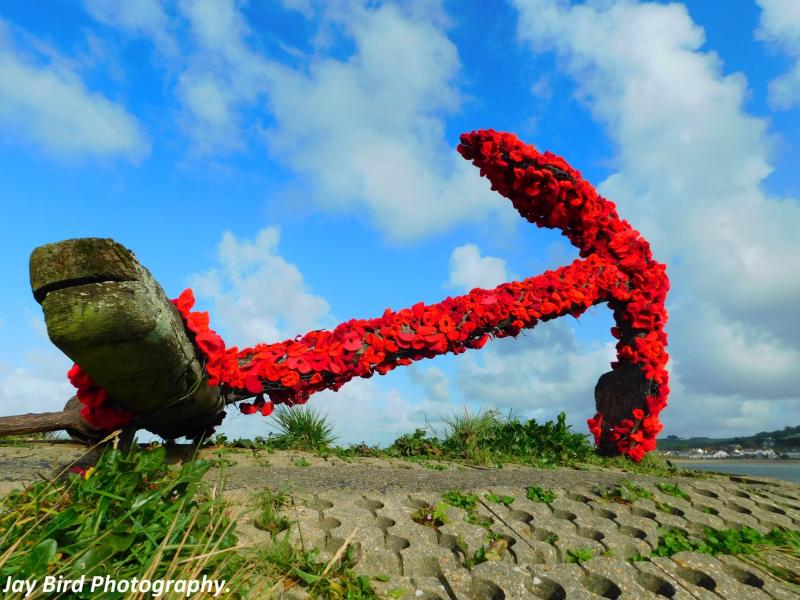 ndg Appledore poppy anchor credit Jay Bird Photography