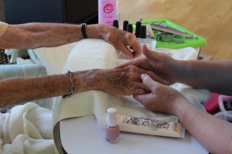 Making a real difference with complementary therapies – North Devon Hospice 