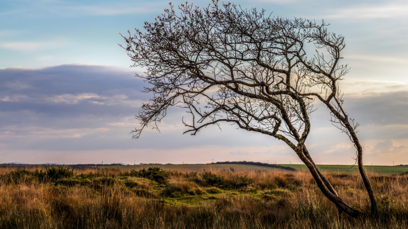 ndg Northern Devon moorland - stock image