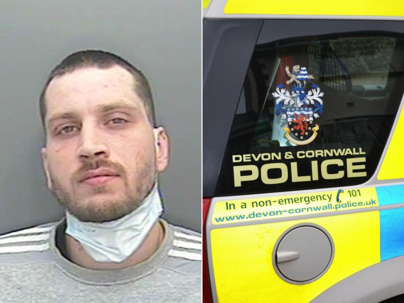 ndg police appeal Loui Guinan composite