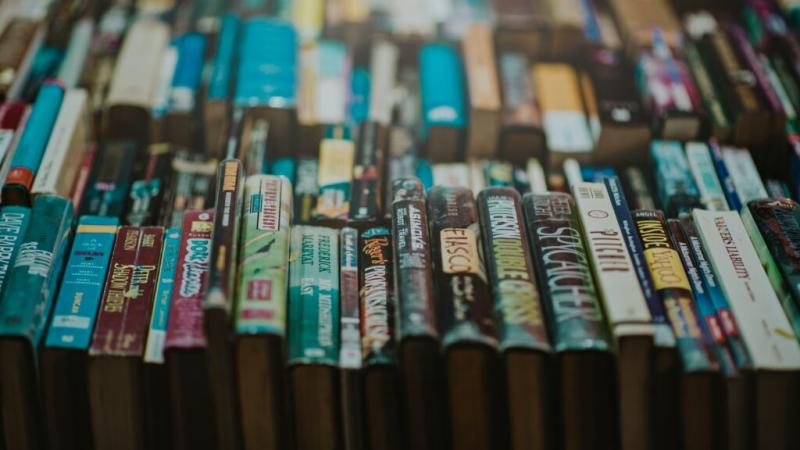 A file image of library books - Credit: DCC