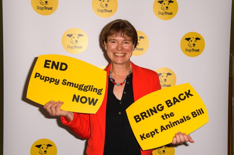 ndg COLUMN saxby D Puppy Smuggling bill