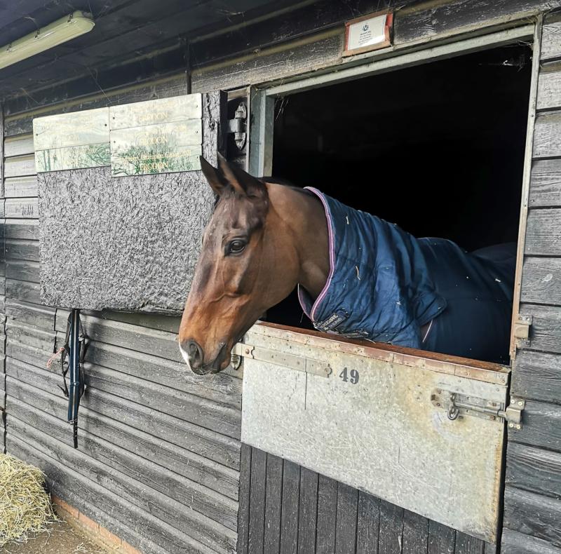 Frodon