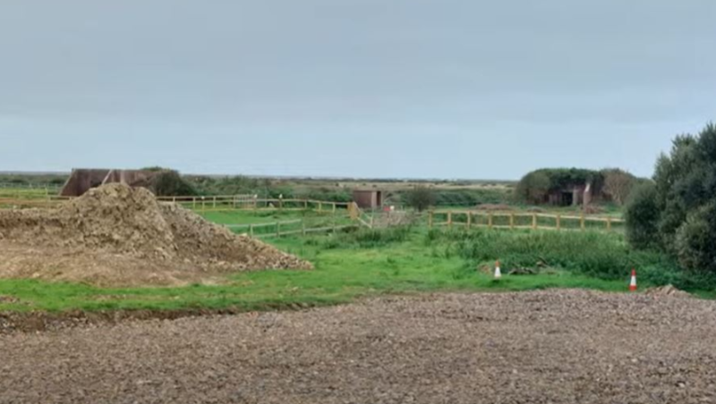 Horse Paddock Torridge