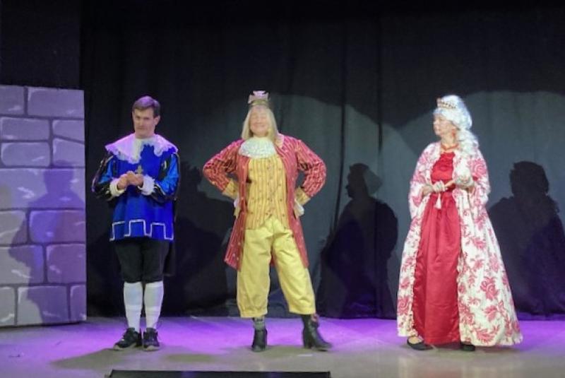 ndg Follies panto (2)